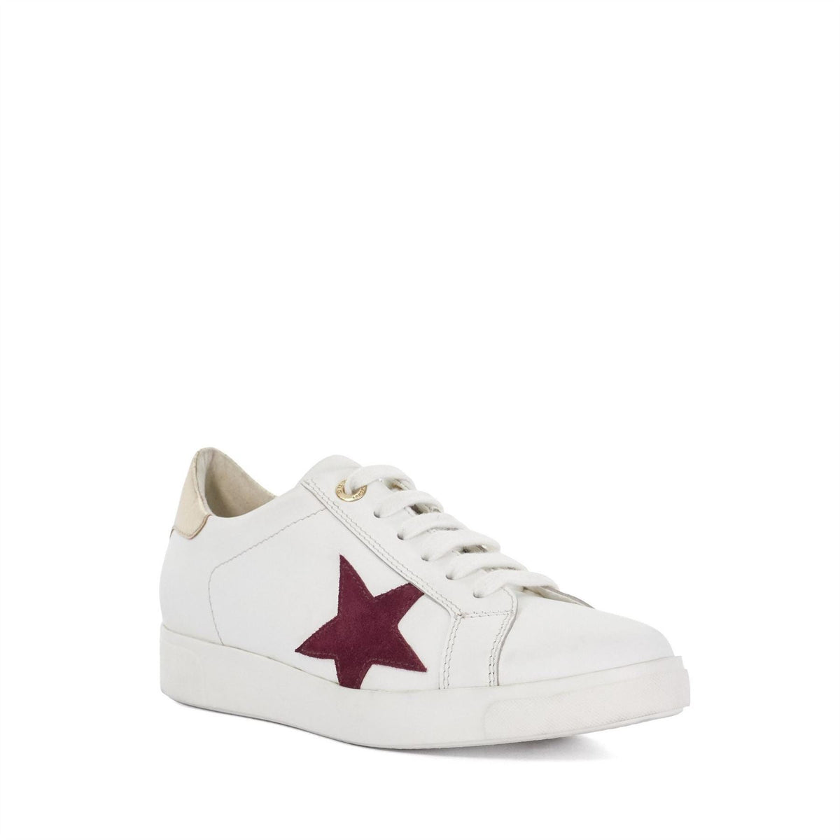 Dune Lo Edriss Star Lace Up Canvas Low Top Sneakers