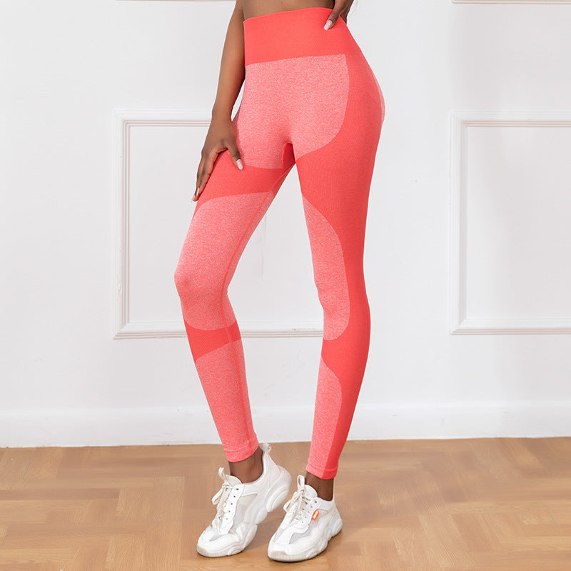 Running Sports Fitness Pant Red