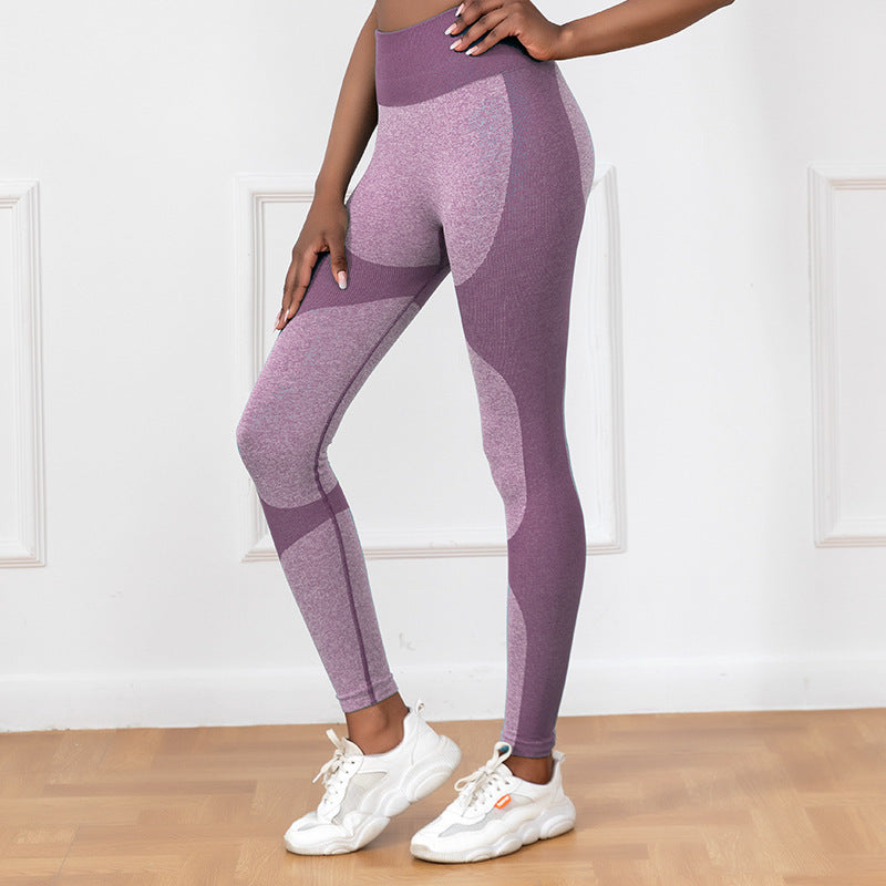 Running Sports Fitness Pant Purple